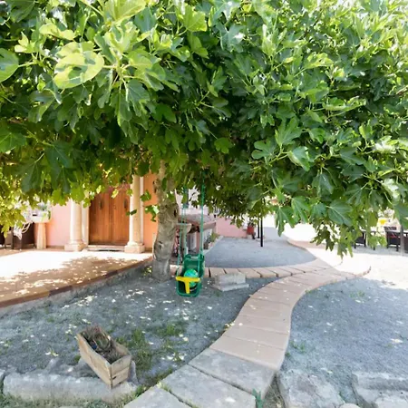 Apartment Rural Charm Approx 73000 Meters And Outdoor Adventure Agritourism With Private Mountain Path Approximately 5 Minutes Walking From The Ideal For Relaxation Port de Pollença