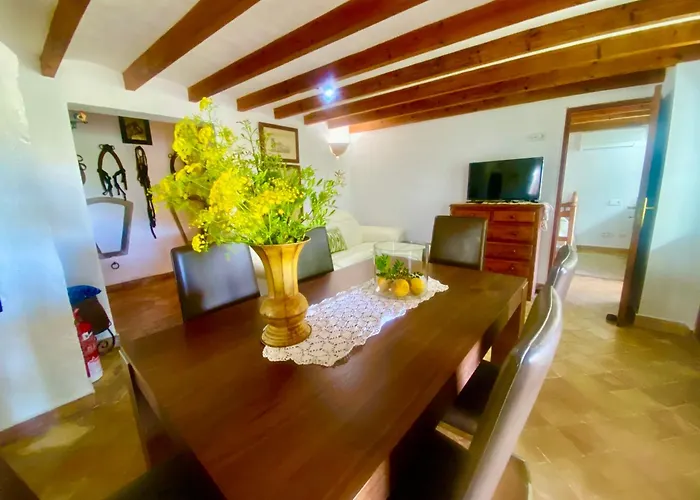 Ullal - Rural Charm-agritourism Approx 65000 Meters Private Mountain And Outdoor Adventure Agritourism Equipated - Private Mountain Path Approximately 5 Minutes Walking From The -ideal For Relaxation Port de Pollenca