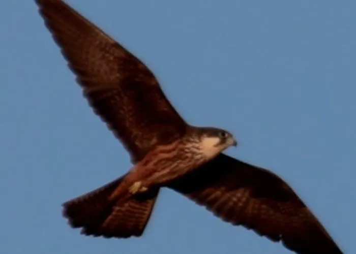 Ullal - Rural Charm-agritourism Approx 65000 Meters Private Mountain And Outdoor Adventure Agritourism Equipated - Private Mountain Path Approximately 5 Minutes Walking From The -ideal For Relaxation Apartamento *